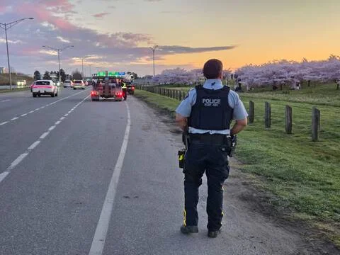 Richmond Police Crack Down on Illegal Stopping During Cherry Blossom Season