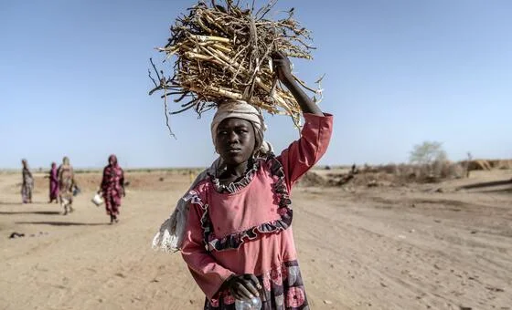 WHO warns of severe shortages for 700,000 displaced in Darfur's Tawila